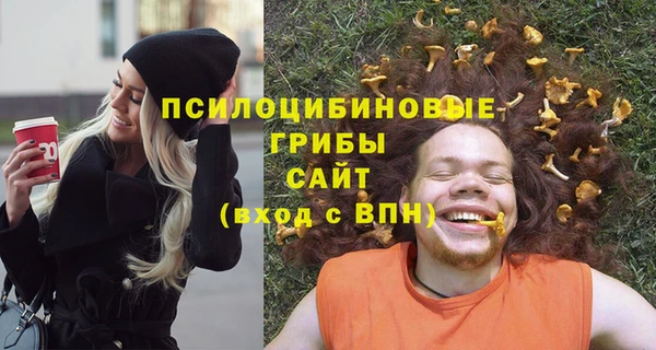 шишки Кинешма