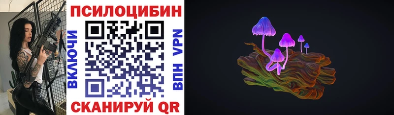 дарнет шоп  Новосиль  это официальный сайт  Псилоцибиновые грибы Psilocybe 